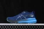 Asics Gel-Kayano 31