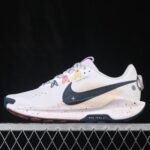 Nike Pegasus Trail 5