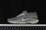 Nike Pegasus Trail 5 GORE-TEX