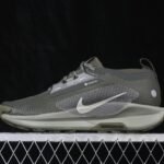 Nike Pegasus Trail 5 GORE-TEX