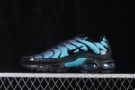 Nike Air Max Plus - 画像 (5)